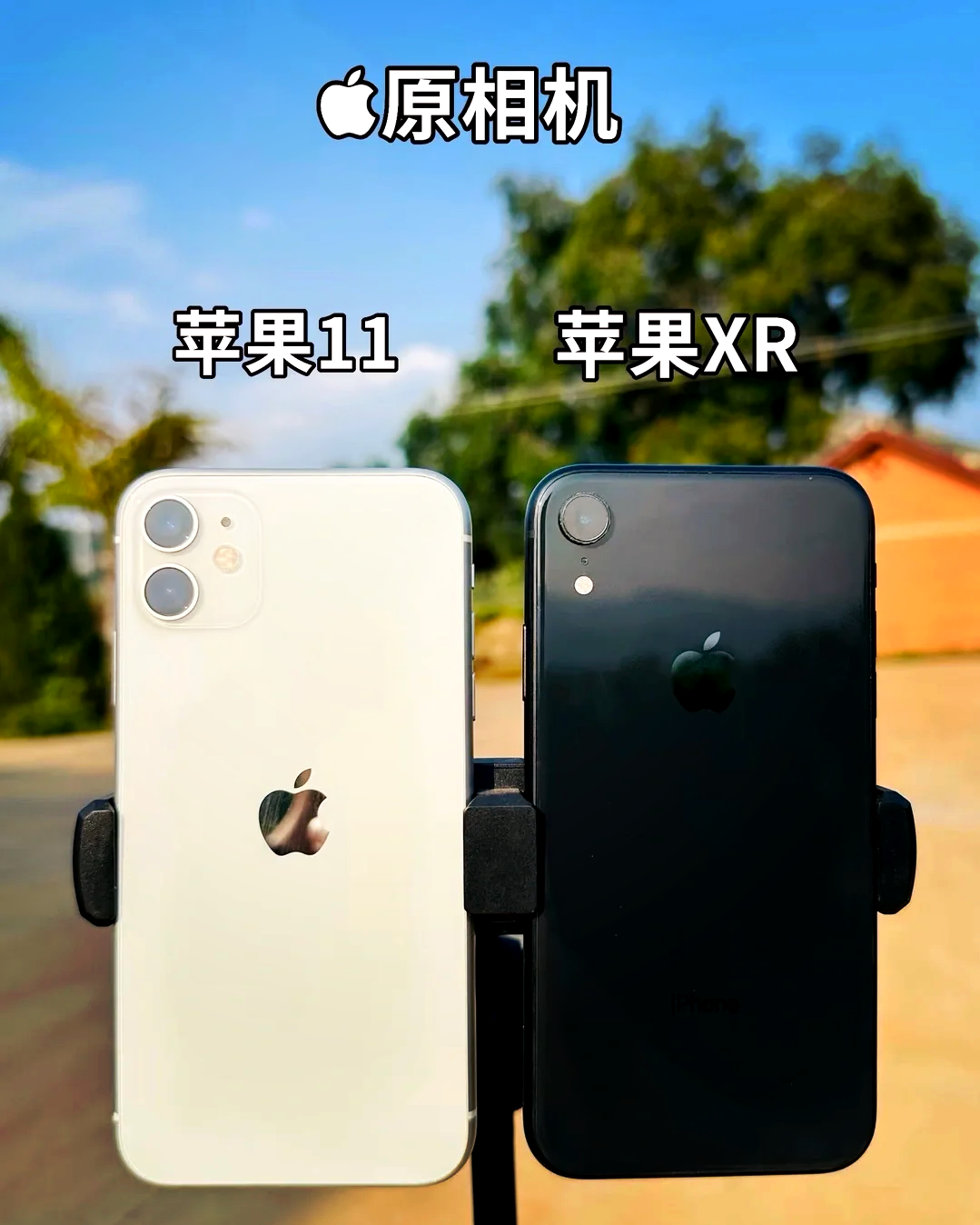 苹果11专业版和普通版(苹果11怎么打开专业模式)-第2张图片-有道翻译官网