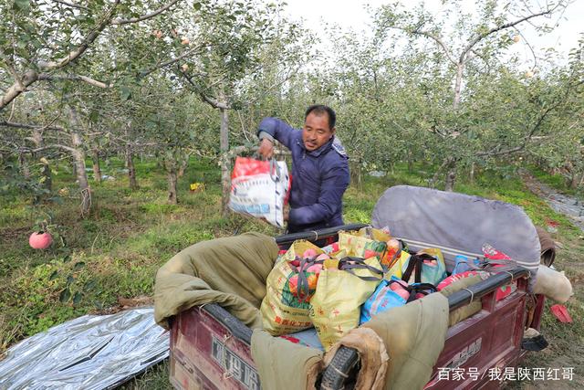 我爱我村苹果版(下载我爱我村阳光平台)-第3张图片-有道翻译官网 我爱我村苹果版(下载我爱我村阳光平台)-第3张图片-有道翻译官网