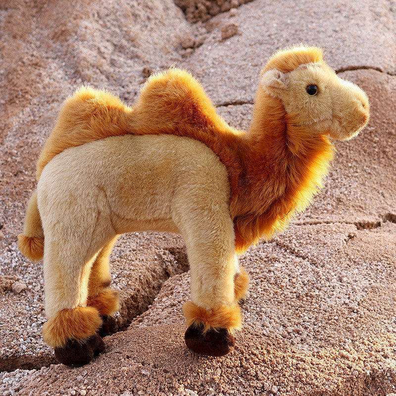 沙漠骆驼版小苹果(沙漠骆驼苹果多少钱)-第2张图片-有道翻译官网