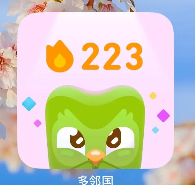 多邻国安卓版跟苹果版(多邻国安卓版内容不一样)-第11张图片-有道翻译官网 多邻国安卓版跟苹果版(多邻国安卓版内容不一样)-第11张图片-有道翻译官网