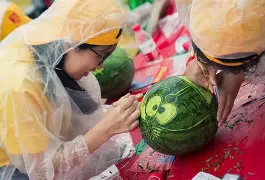 西瓜商城苹果版没了(西瓜钱包app苹果版)-第13张图片-有道翻译官网